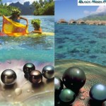 Tahitian Black Pearls